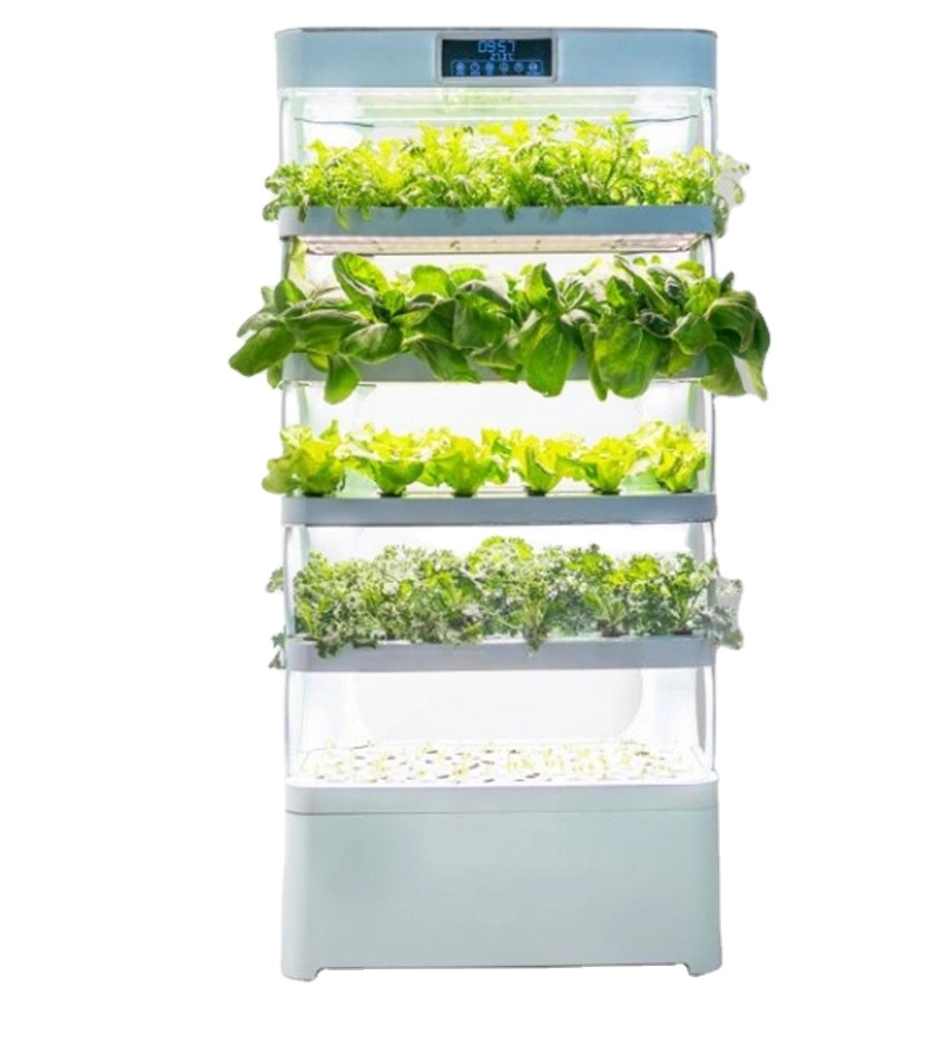 가정용 수경재배 시스템 신제품 실내 스마트 가든 수경재 - Smart Garden In Home 리뷰 및 가격