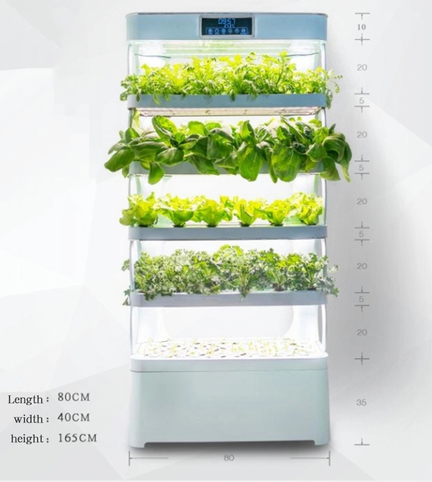 가정용 수경재배 시스템 신제품 실내 스마트 가든 수경재 - Smart Garden In Home 리뷰 및 가격