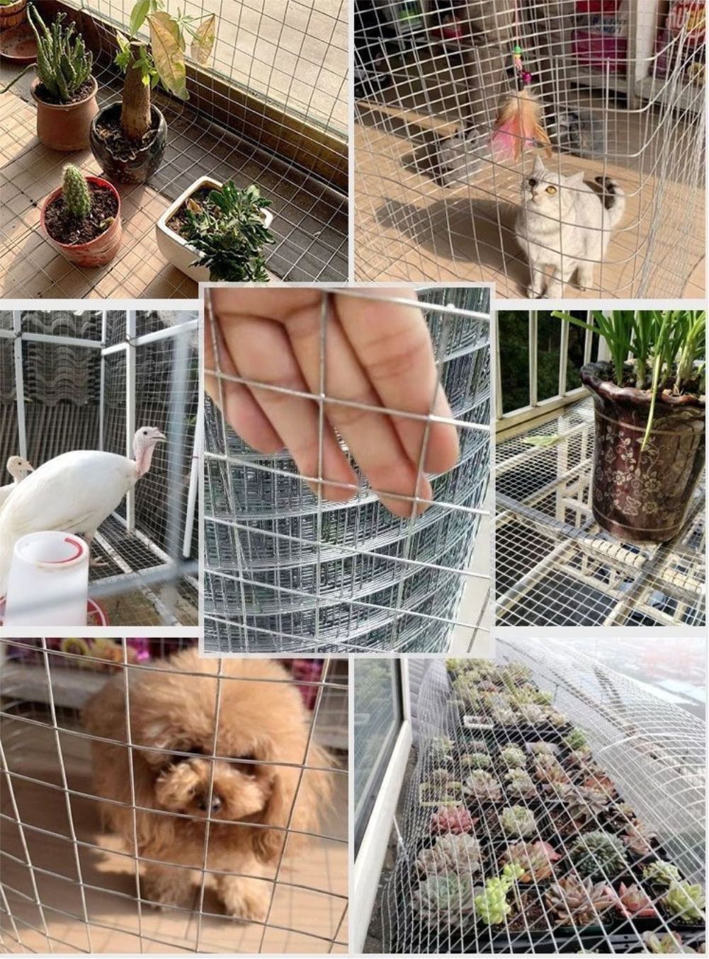 용융아연도금 육종용 용접 철망 닭 토끼 다람쥐 케이지  - Smart Garden Fence 리뷰 및 가격